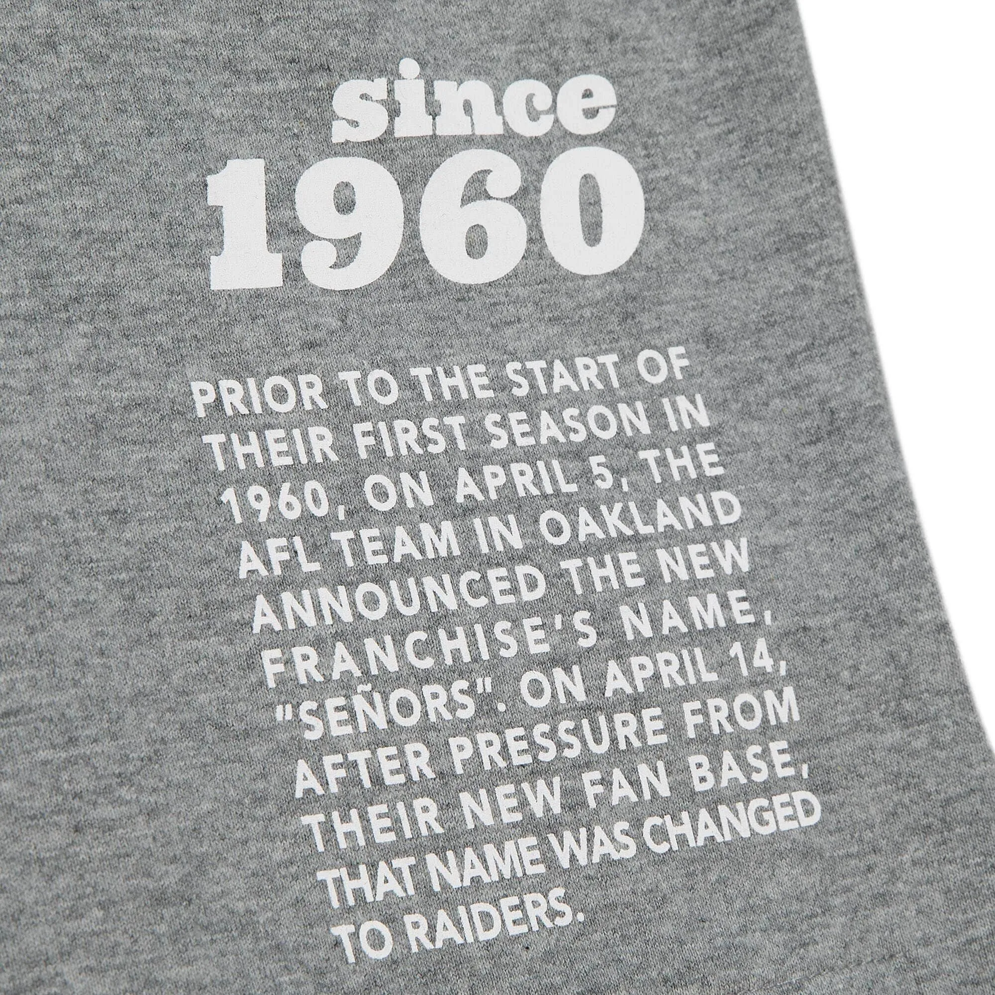 Las Vegas Raiders NFL Mitchell & Ness Team Origins T-Shirt Grau