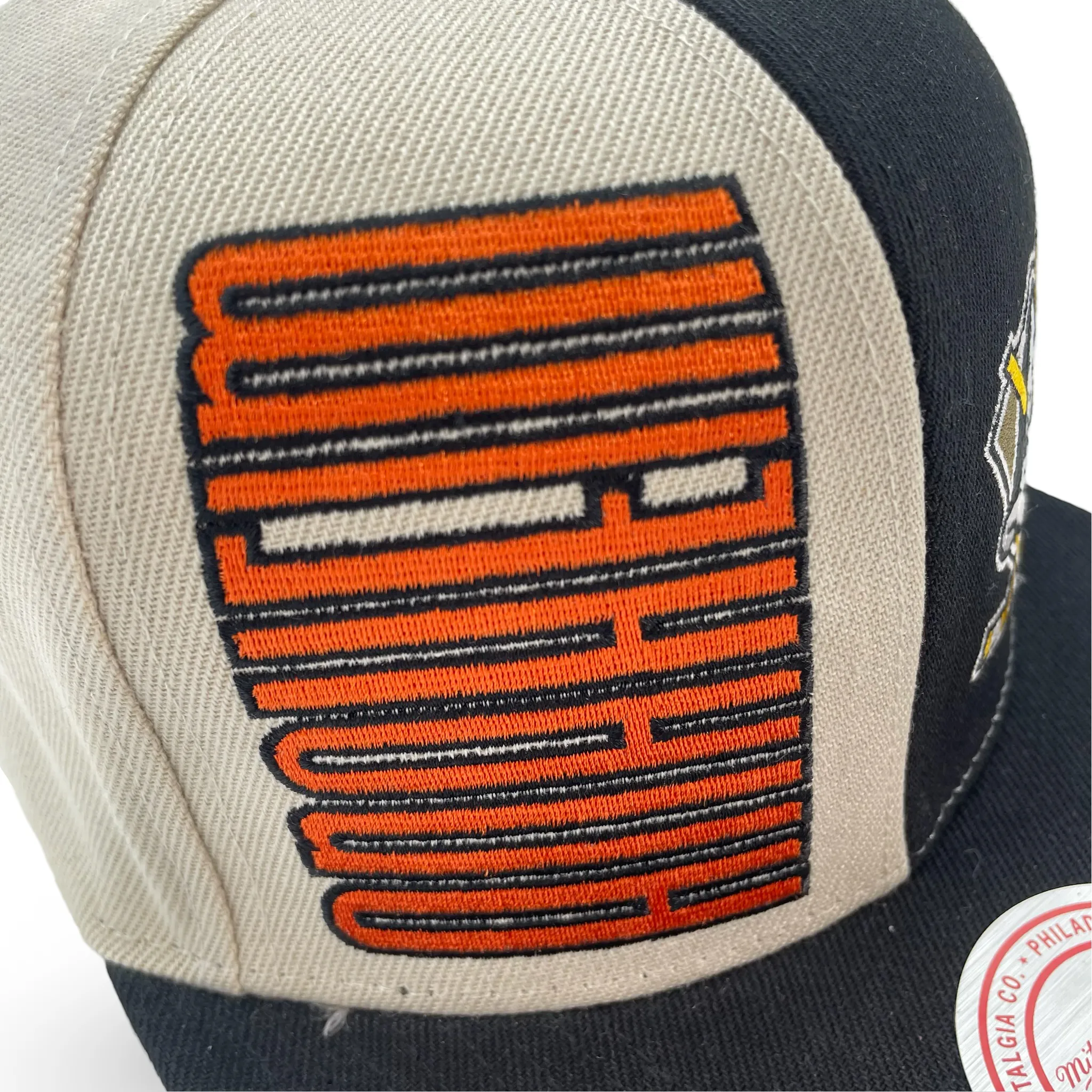 Anaheim Ducks NHL Mitchell & Ness Pop Panel Snapback