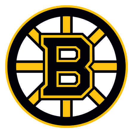 BOSTON BRUINS