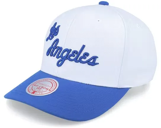 Los Angeles Lakers NBA Mitchell & Ness Team 2 Tone 2.0 Pro Snapback HWC