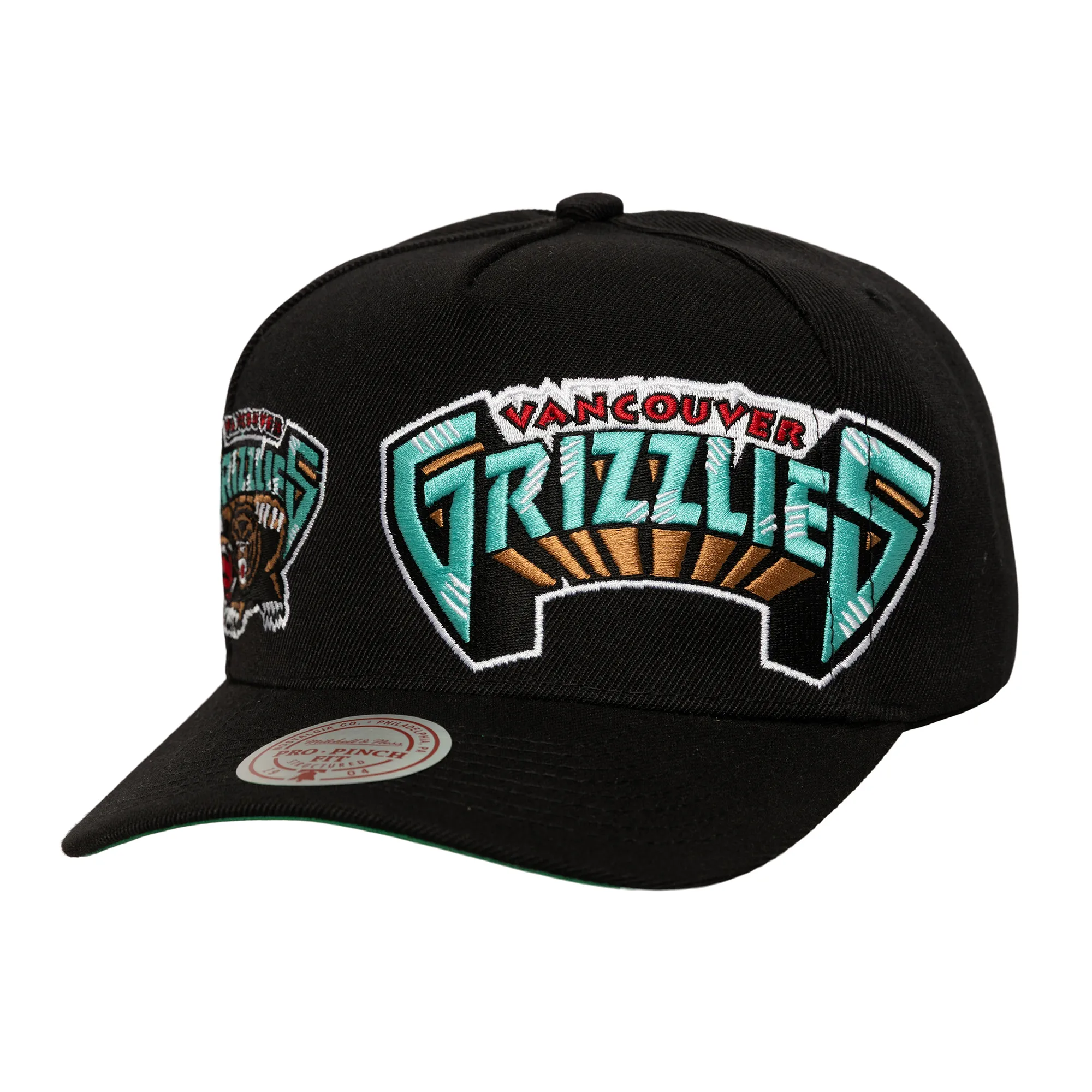 Vancouver Grizzlies NBA Mitchell & Ness Busted Pro Snapback