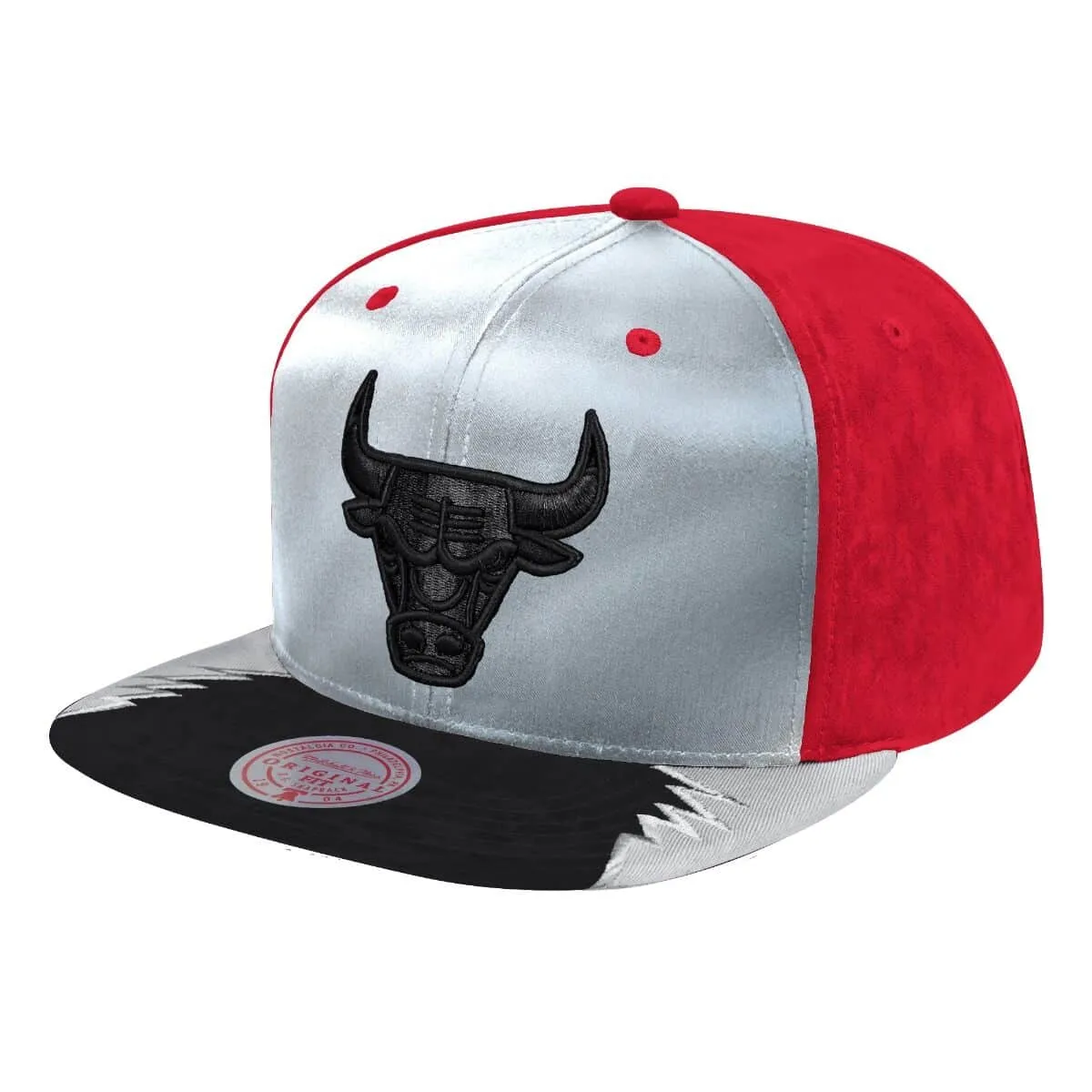 Chicago Bulls NBA Mitchell & Ness Day 5 Snapback Grau / Rot
