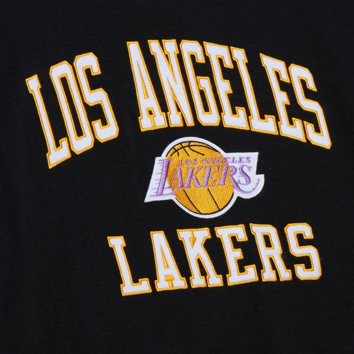 Los Angeles Lakers NBA Mitchell & Ness Legendary Slub 2.0 T-Shirt Schwarz Los Angeles Lakers NBA Mitchell & Ness Legendary Slub 2.0 T-Shirt Schwarz