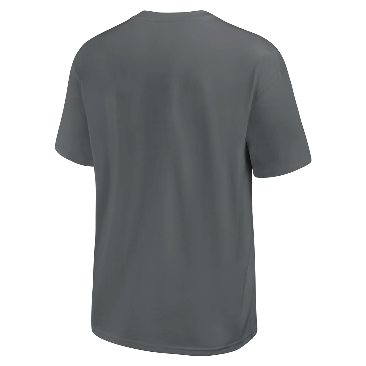 Las Vegas Raiders NFL Nike Loose Fit Heavyweight T-Shirt Grau