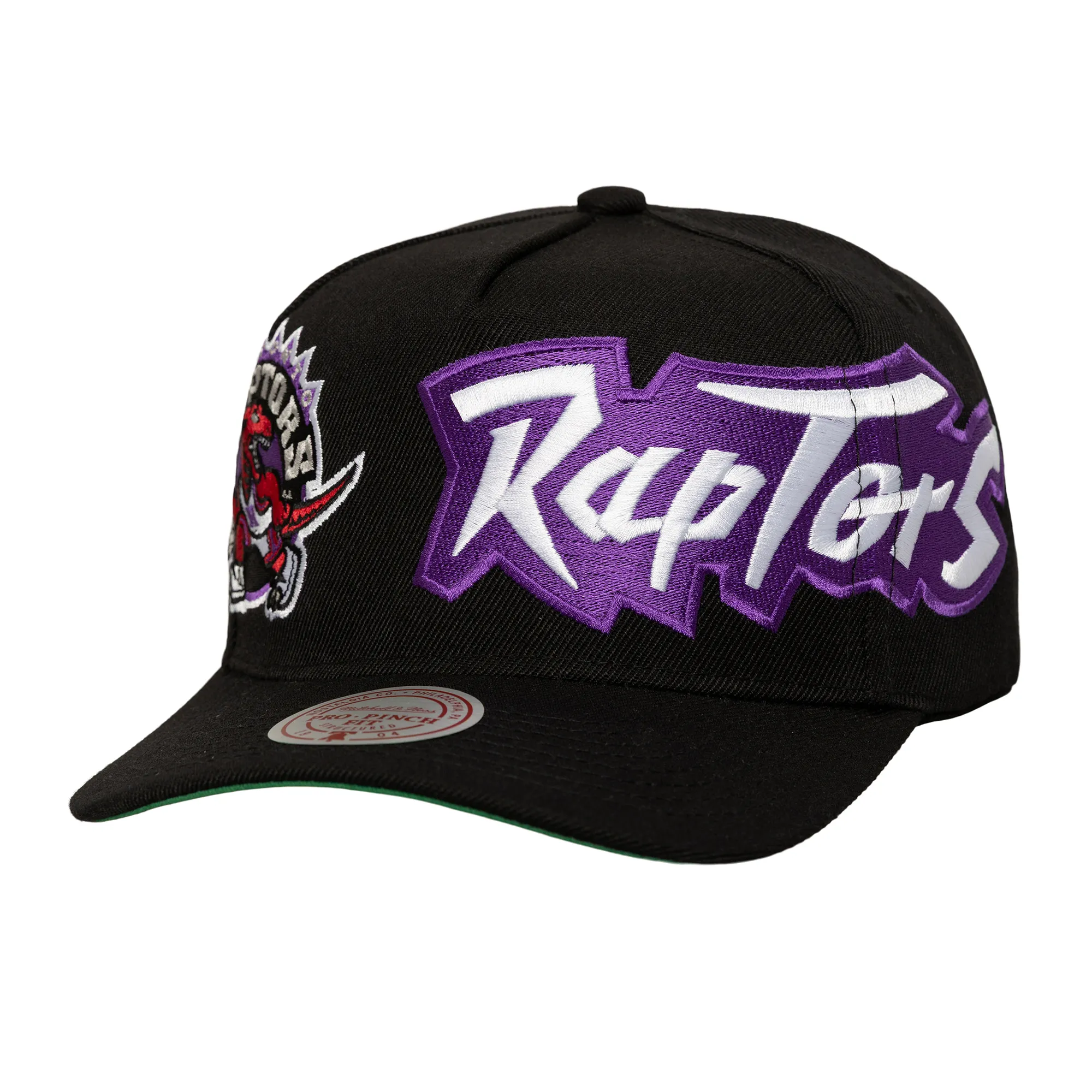 Toronto Raptors NBA Mitchell & Ness Busted Pro Snapback