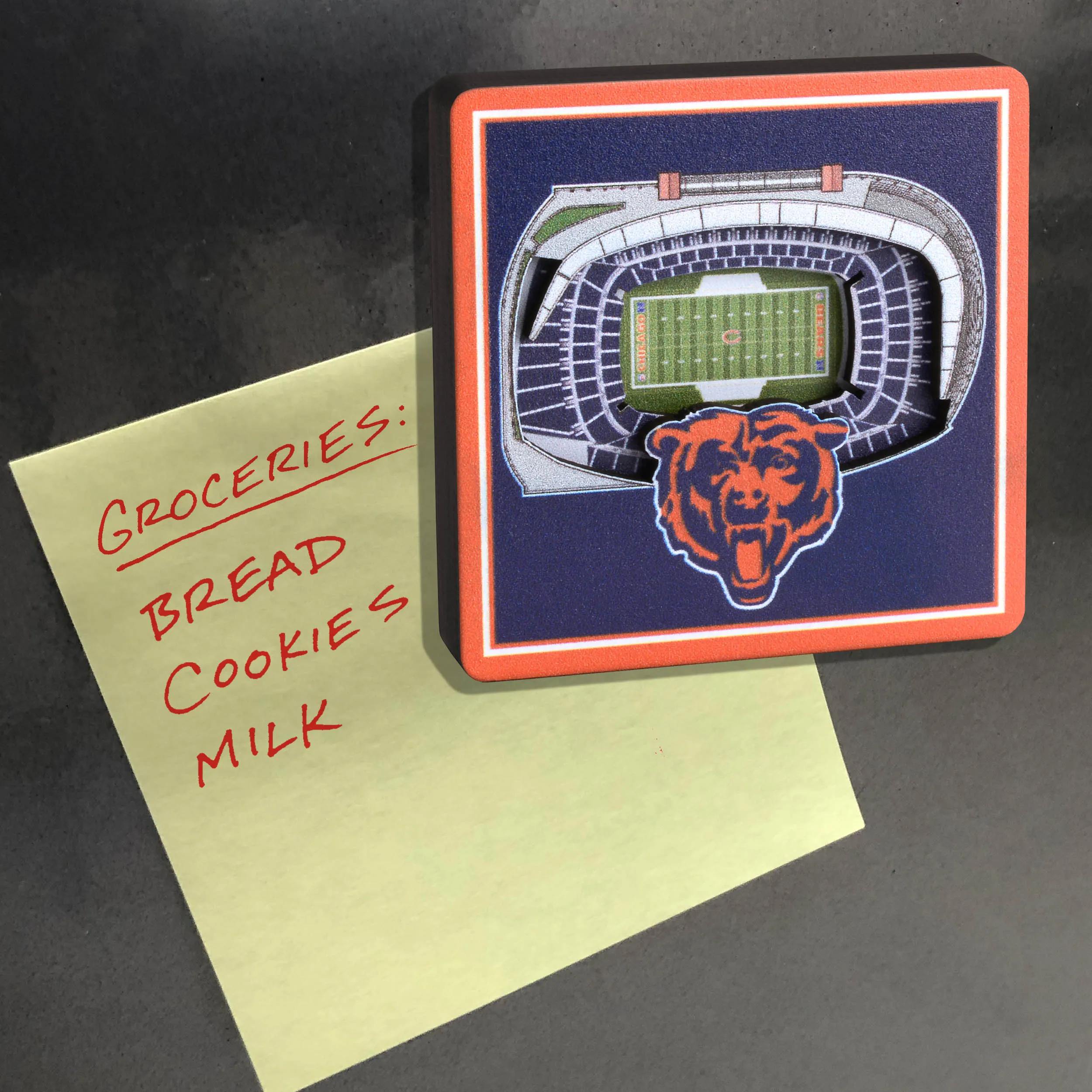 Chicago Bears NFL YouTheFan! 3D StadiumView Magnet