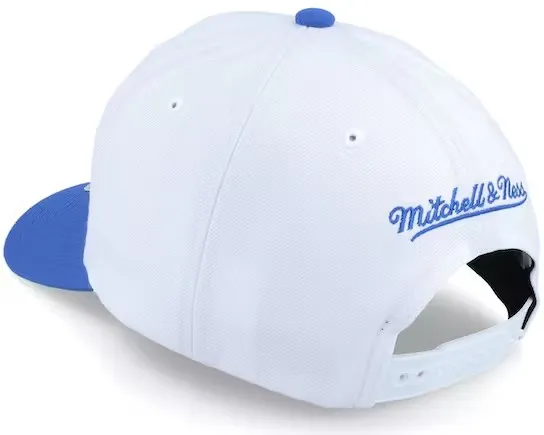 Los Angeles Lakers NBA Mitchell & Ness Team 2 Tone 2.0 Pro Snapback HWC